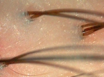 2007.05.10.003.jpg
